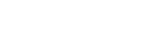 Team PerMed logo